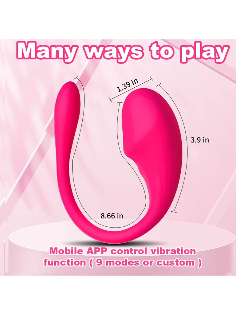 APP069P2.jpg